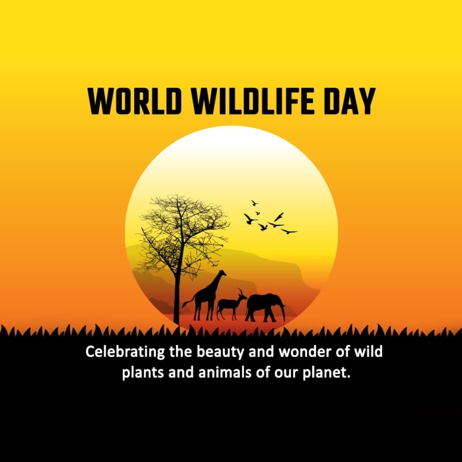 World Wildlife Day: 03 March | Download Poster, Status and hd PHotos Free 3 World Wildlife Day Image Download